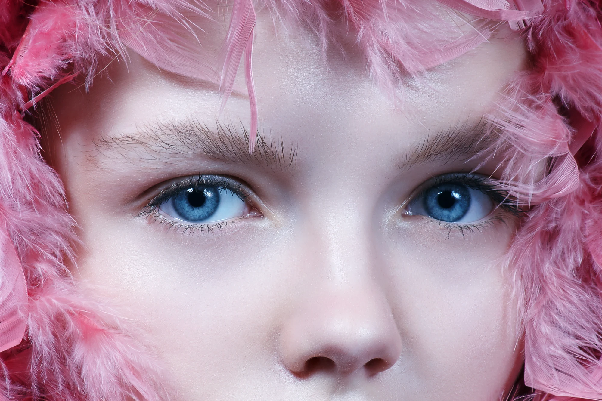 Extreme close up of blue eyes surrounded by soft pink feathers in a beauty concept shot